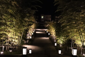 夜間ライトアップされた長門湯本の竹林と階段