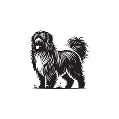 Minimalist Pyrenean Shepherd Dog Vector - Pyrenean Shepherd Dog Silhouette - Dog Illustration.