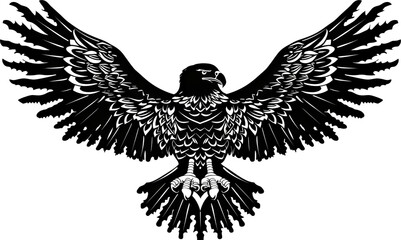 Obraz premium Majestic black hawk in flight