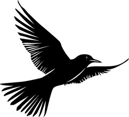 Obraz premium Elegant bird in flight showcasing freedom.