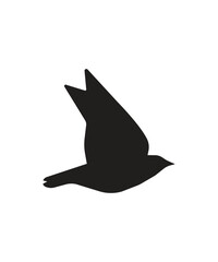 Bird silhouette symbol isolated on white background in illustrator