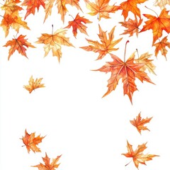 Fototapeta premium Beautiful autumn leaves in vibrant shades of orange and yellow falling gracefully against a white background.