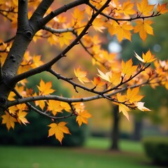 A bare tree branch with a few scattered golden autumn leaves, outdoor, branches