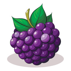 Sweet blackberries vector realistic blackberry, bramble, dewberry illustration