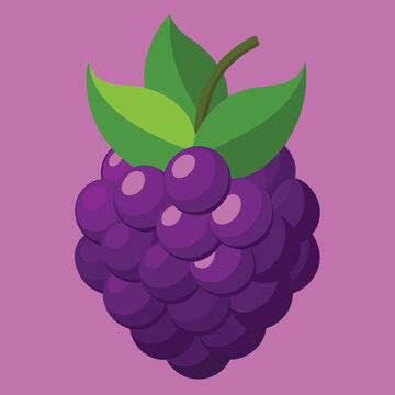 Sweet blackberries vector realistic blackberry, bramble, dewberry illustration