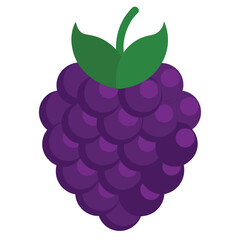 Sweet blackberries vector realistic blackberry, bramble, dewberry illustration