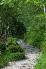 Obraz premium fluss strömung natur