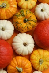 Beautiful autumn composition with pumpkins, top view