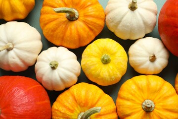 Beautiful autumn composition with pumpkins, top view