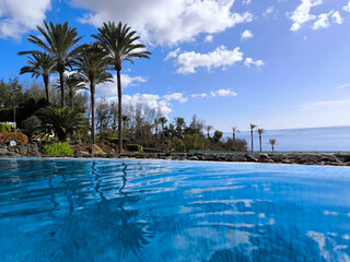 Pool and palm trees in Canary Island Spain