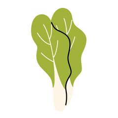 Hand drawn green lettuce leaves in doodle style. Simple flat healthy ingredient for salad