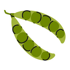 Hand drawn green pea pod. Open pea with pea beans. Nutrition organic vegetables