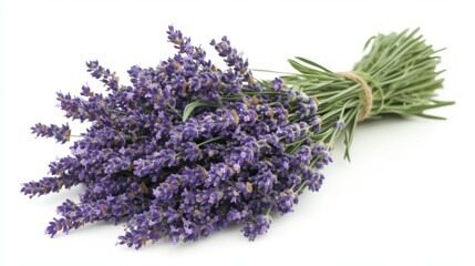 Fresh Lavender Bouquet on a Plain Surface