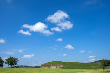 field and blue sky