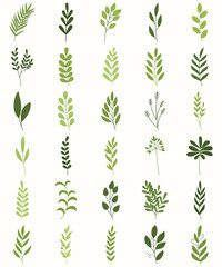 Collection Of Green Leaf Vector Illustration Design