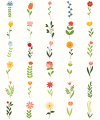 Colorful Flowers Collection In Flat Style