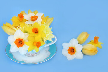 Floral spring flower arrangement design with porcelain teacup. Springtime Easter concept surreal abstract composition on blue background.