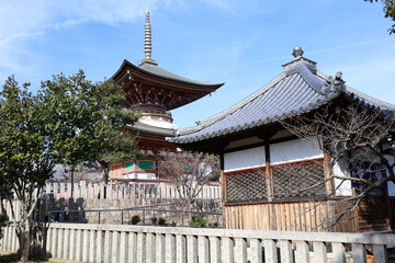 A Japanese temple : a scene of Tahou-to Two-story Pagoda in the precincts of Kumeda-dera Temple in Kishiwada City in Osaka Prefecture　