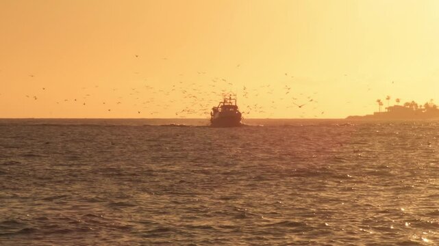 Fisher ship going to port at sunset. Caleta de Velez, Spain
