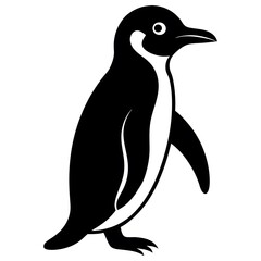 penguin illustration