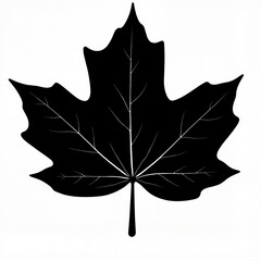 Naklejka premium Silhouette of a maple leaf
