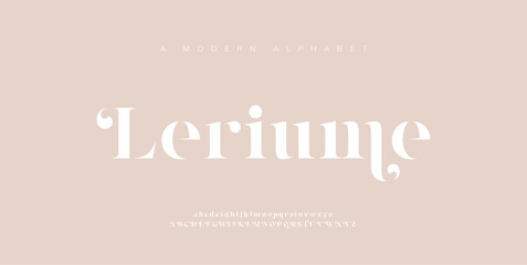 Elegant Font Uppercase Lowercase and Number. Classic Lettering Minimal Fashion Designs. Typography modern serif fonts regular decorative vintage concept. vector illustration
