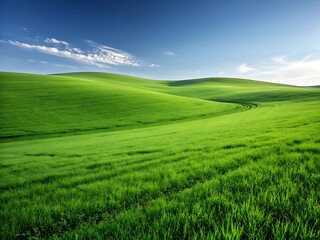 Fototapeta premium A peaceful green field under a blue sky with clouds and a distant horizon