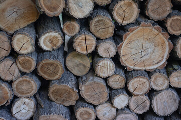 Logs stacked in a neat arrangement for winter preparation in a rustic setting