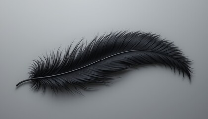 Obraz premium Elegance of a Single Black Feather