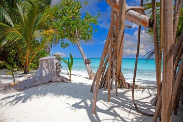 Tropical beach with palm trees white sand turquoise water and bright sunny sky