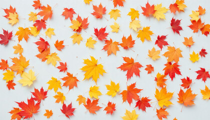 Scattered colorful red, orange and yellow fall maple leaves background. Colors of gold autumn. Seasonal decoration concept.