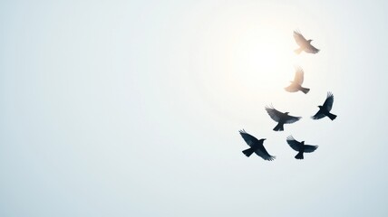 Flock of birds flying against a bright sky, with sunlight creating a serene atmosphere.