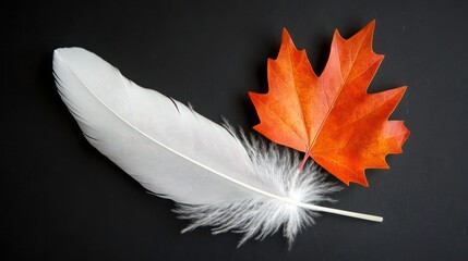 white feather and orange maple leaf National Day for Truth and Reconciliation in Canada