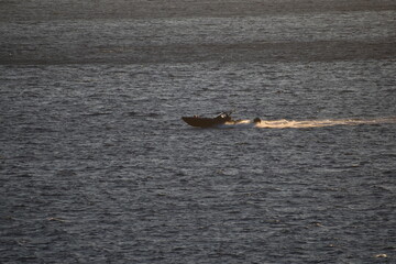 Fototapeta premium White speedboat cruising across the ocean with a trail of water behind The boat moves swiftly through the calm waters near the rocky coastline creating a dynamic and adventurous scene 