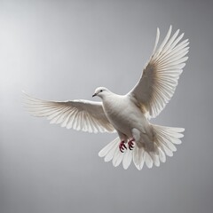Obraz premium A white dove in mid-flight with detailed feather textures, against a white gradient background.