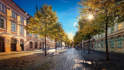歴史と自然が交差する街路樹の風景：ヨーロッパの青空