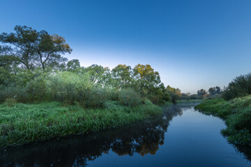 A calm river with trees on either side