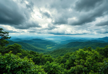 A lush, green forest landscape with a dramatic cloudy sky overhead. The view is from a high vantage point, overlooking a vast expanse of rolling hills and valleys covered in dense vegetation