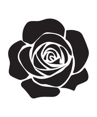 Modern Black Rose Graphic with White Backdrop