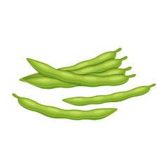 Soybean pods, edamame beans vector illustration for ad soy product.
