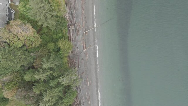 Bird's-eye aerial footage of the driftwood with dense trees on the Sunshine Coast in Gibsons, Canada