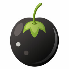 black pepper vector