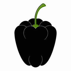 black pepper vector