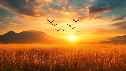 Birds flying over a golden meadow at sunrise, representing harmony with nature