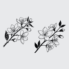 Jasmine flower image silhouette vector art and illustration