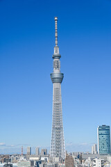 Obraz premium 東京都の都市風景とスカイツリー