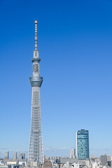東京都の都市風景とスカイツリー