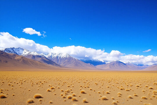 Landscape mountainous region grassland snow-capped mountains