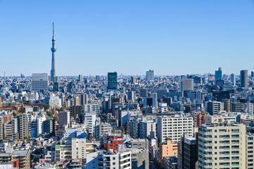 Obraz premium 東京都の都市風景とスカイツリー
