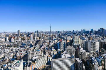 東京都の都市風景とスカイツリー